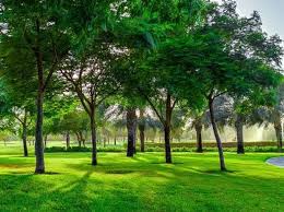 افضل الاطباء 