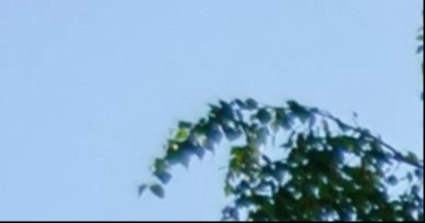 وريم إيبسوم(Lorem Ipsum) هو ببساطة